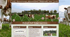 Desktop Screenshot of hethobbyschuurtje.nl